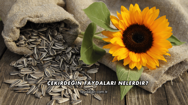 Çekirdeğin Faydaları Nelerdir?