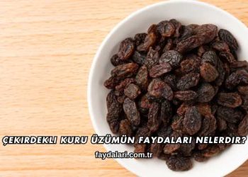 Çekirdekli Kuru Üzümün Faydaları Nelerdir?