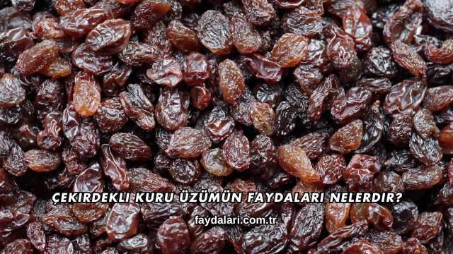 Çekirdekli Kuru Üzümün Faydaları Nelerdir?