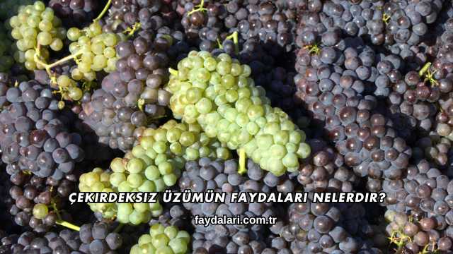 Çekirdeksiz Üzümün Faydaları Nelerdir?