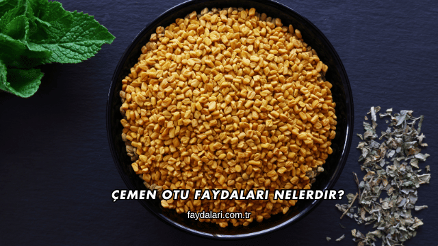 Çemen Otu Faydaları Nelerdir?