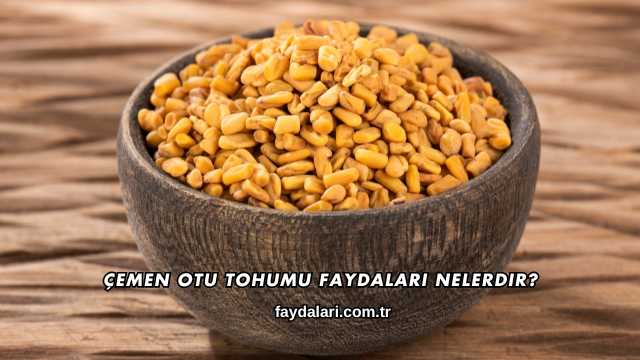 Çemen Otu Tohumu Faydaları Nelerdir?