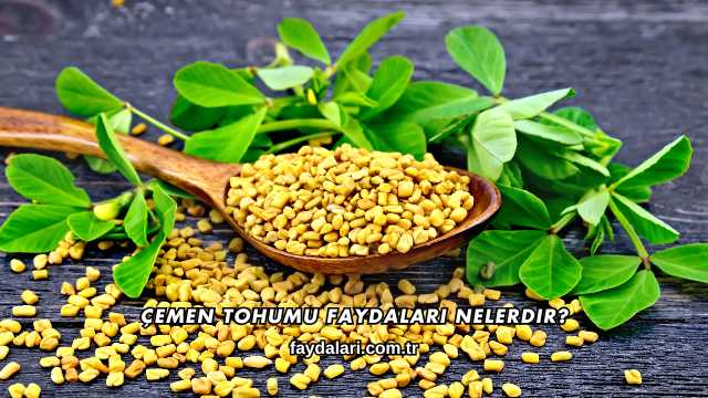 Çemen Tohumu Faydaları Nelerdir?