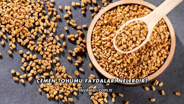 Çemen Tohumu Faydaları Nelerdir?