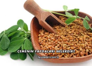 Çemenin Faydaları Nelerdir?