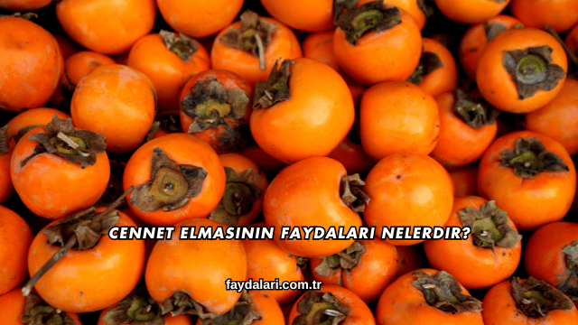 Cennet Elmasının Faydaları Nelerdir?
