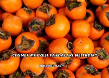 Cennet Meyvesi Faydaları Nelerdir?
