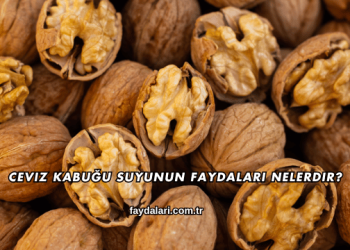 Ceviz Kabuğu Suyunun Faydaları Nelerdir?