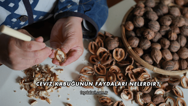 Ceviz Kabuğunun Faydaları Nelerdir?