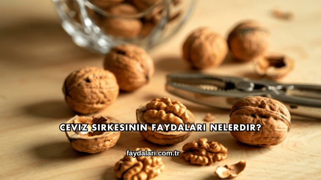 Ceviz Sirkesinin Faydaları Nelerdir?