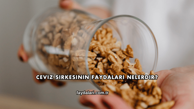 Ceviz Sirkesinin Faydaları Nelerdir?
