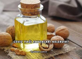 Ceviz Yağı Faydaları Nelerdir?