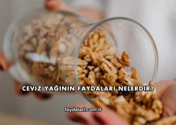 Ceviz Yağının Faydaları Nelerdir?