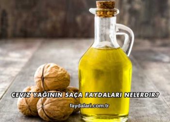 Ceviz Yağının Saça Faydaları Nelerdir?
