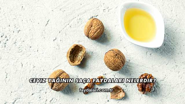 Ceviz Yağının Saça Faydaları Nelerdir?