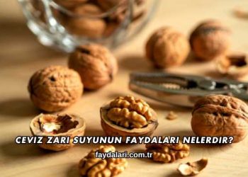 Ceviz Zarı Suyunun Faydaları Nelerdir?