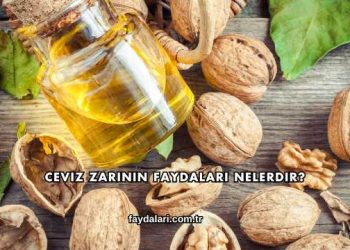 Ceviz Zarının Faydaları Nelerdir?