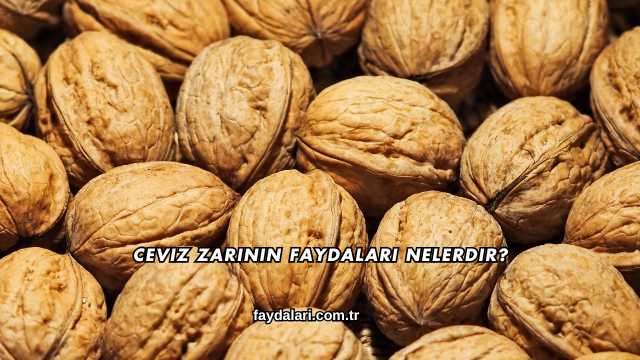 Ceviz Zarının Faydaları Nelerdir?