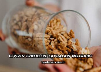 Cevizin Erkeklere Faydaları Nelerdir?