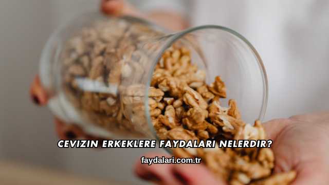 Cevizin Erkeklere Faydaları Nelerdir?