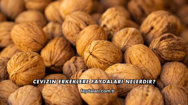 Cevizin Erkeklere Faydaları Nelerdir?