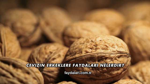 Cevizin Erkeklere Faydaları Nelerdir?