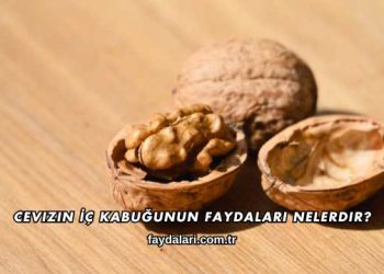 Cevizin İç Kabuğunun Faydaları Nelerdir?