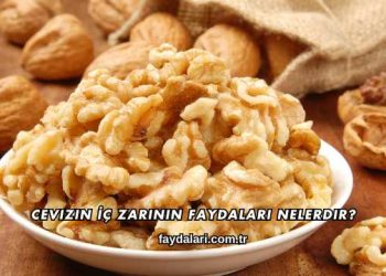 Cevizin İç Zarının Faydaları Nelerdir?