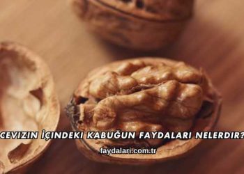 Cevizin İçindeki Kabuğun Faydaları Nelerdir?