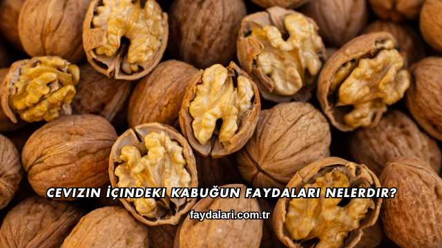 Cevizin İçindeki Kabuğun Faydaları Nelerdir?