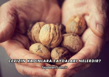 Cevizin Kadınlara Faydaları Nelerdir?
