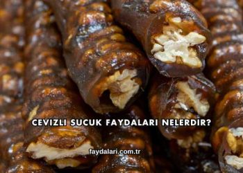 Cevizli Sucuk Faydaları Nelerdir?