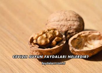 Cevizli Suyun Faydaları Nelerdir?