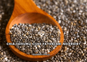 Chia Tohumu Cilde Faydaları Nelerdir?