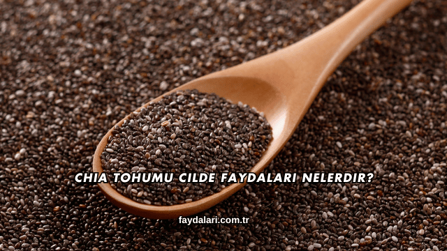Chia Tohumu Cilde Faydaları Nelerdir?