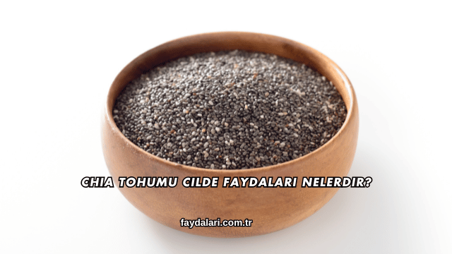 Chia Tohumu Cilde Faydaları Nelerdir?