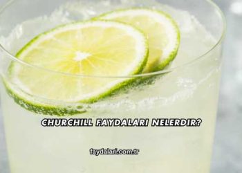 Churchill Faydaları Nelerdir?
