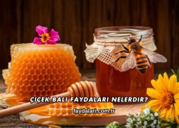 Çiçek Balı Faydaları Nelerdir?