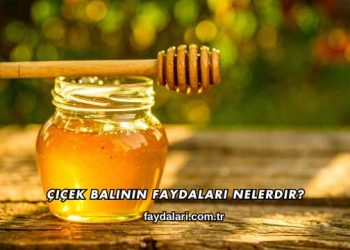 Çiçek Balının Faydaları Nelerdir?