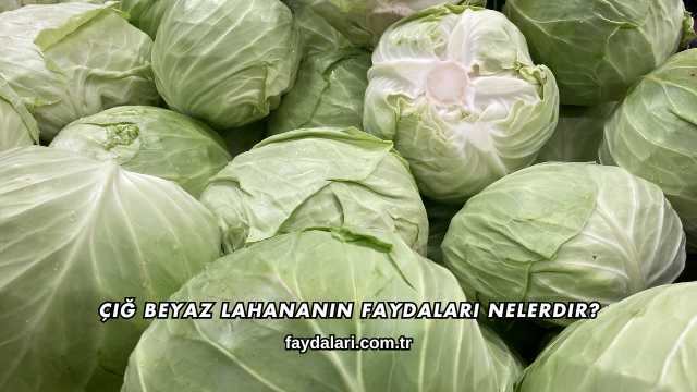 Çiğ Beyaz Lahananın Faydaları Nelerdir?