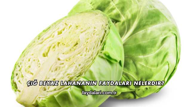 Çiğ Beyaz Lahananın Faydaları Nelerdir?