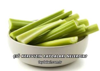 Çiğ Kerevizin Faydaları Nelerdir?