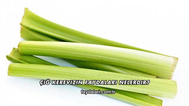 Çiğ Kerevizin Faydaları Nelerdir?