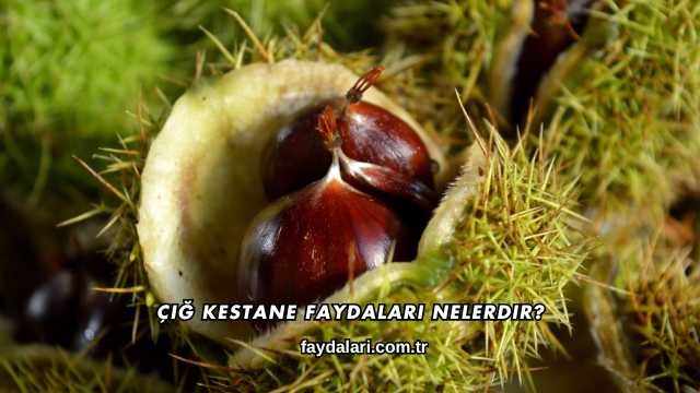 Çiğ Kestane Faydaları Nelerdir?