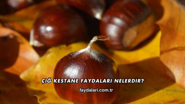 Çiğ Kestane Faydaları Nelerdir?