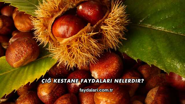 Çiğ Kestane Faydaları Nelerdir?