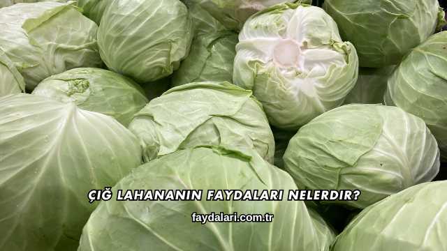 Çiğ Lahananın Faydaları Nelerdir?