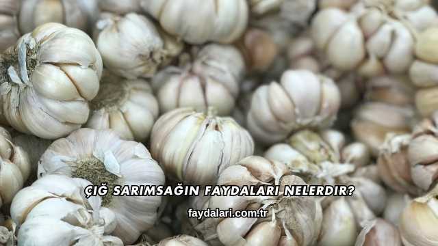Çiğ Sarımsağın Faydaları Nelerdir?