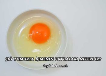 Çiğ Yumurta İçmenin Faydaları Nelerdir?