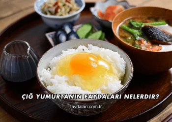 Çiğ Yumurtanın Faydaları Nelerdir?